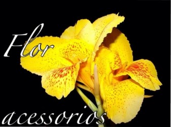 Loja de florbicessorio